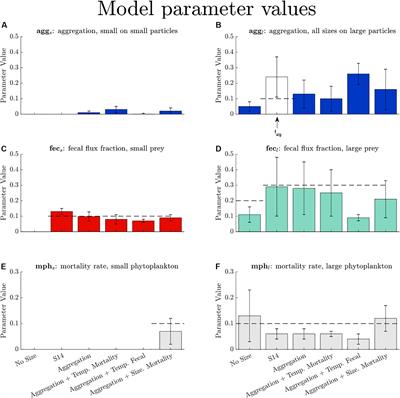 Diagnosing Mechanisms of Ocean Carbon Export in a Satellite-Based Food Web Model